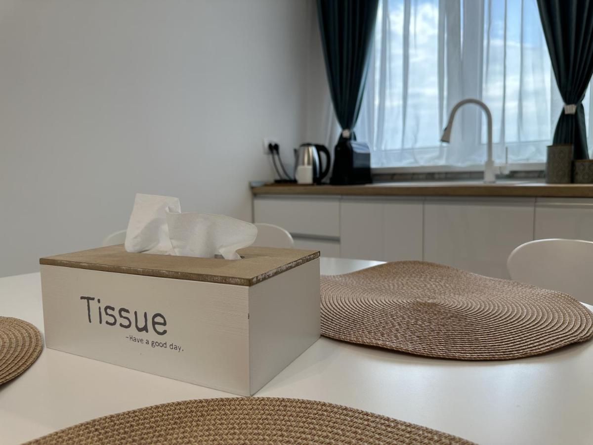 Apartament In Suceava, Zamcaアパートメント エクステリア 写真