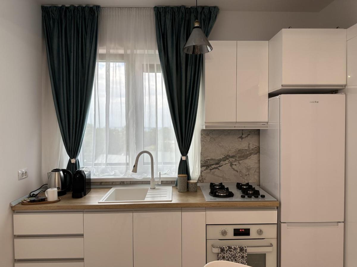 Apartament In Suceava, Zamcaアパートメント エクステリア 写真